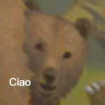 Ciao bear