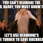 Yeah, right. | YOU CAN'T REAWAKE THE DEAD, HARRY, YOU MUST KNOW THAT. LET'S USE HERMIONE'S TIME TURNER TO SAVE BUCKBEACK. | image tagged in dumbledore,time travel,dead | made w/ Imgflip meme maker