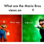 What are the Mario Bros views on  ?