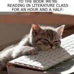 I'm not complaining! I just get a little sluggish. | ME AFTER LISTENING TO THE BOOK WE'RE READING IN LITERATURE CLASS FOR AN HOUR AND A HALF: | image tagged in tired cat,memes,reading,book,literature,school | made w/ Imgflip meme maker