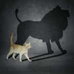 Lion Shadow meme