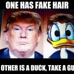 Donald Trump Donald Duck | ONE HAS FAKE HAIR; THE OTHER IS A DUCK, TAKE A GUESS | image tagged in donald trump donald duck | made w/ Imgflip meme maker