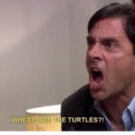 where are the turtles