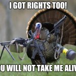 TACTICAL TURKEY | I GOT RIGHTS TOO! YOU WILL NOT TAKE ME ALIVE! | image tagged in turkey,thanksgiving,funny,funny memes,crazy,fun | made w/ Imgflip meme maker
