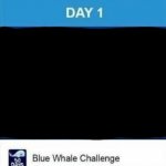 The blue whale challenge | image tagged in the blue whale challenge | made w/ Imgflip meme maker