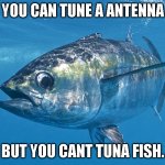 raise a floppa base ost by myalt Sound Effect - Meme Button - Tuna