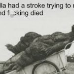 Godzilla had a stroke trying to read this and f**king died meme