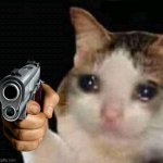 Sad cat pointing gun meme