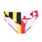 Maryland is gay
