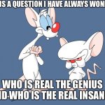 Pinky and the brain | HERE IS A QUESTION I HAVE ALWAYS WONDER; WHO IS REAL THE GENIUS AND WHO IS THE REAL INSANE? | image tagged in pinky and the brain | made w/ Imgflip meme maker