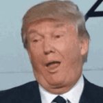 trump be like