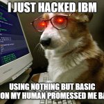 corgi hacker | I JUST HACKED IBM; USING NOTHING BUT BASIC PYTHON MY HUMAN PROMESSED ME BACON | image tagged in corgi hacker | made w/ Imgflip meme maker