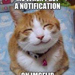 So Happy Cat | ME WHEN I GET A NOTIFICATION; ON IMGFLIP | image tagged in so happy cat | made w/ Imgflip meme maker