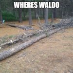 timber | WHERES WALDO | image tagged in timber | made w/ Imgflip meme maker