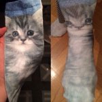 Streched cat socks