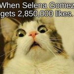 When Selena Gomez Gets 2,850,000 Likes meme