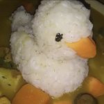 rice duck