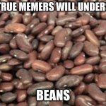 Beans2:Electric Bogaloo | ONLY TRUE MEMERS WILL UNDERSTAND; BEANS | image tagged in beans | made w/ Imgflip meme maker
