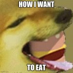 cheems | HOW I WANT; TO EAT | image tagged in cheems | made w/ Imgflip meme maker