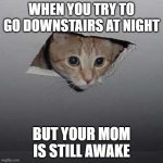 Ceiling Cat | WHEN YOU TRY TO GO DOWNSTAIRS AT NIGHT BUT YOUR MOM IS STILL AWAKE | image tagged in memes,ceiling cat | made w/ Imgflip meme maker