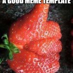 strawberry upvotes 4 ever | WHEN YOU FIND A GOOD MEME TEMPLATE | image tagged in strawberry upvotes 4 ever | made w/ Imgflip meme maker