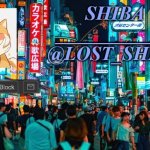 Lost_Shiba announcement template