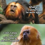 Cold enough to freeze . . . | When's it going to be warm again? I don't know . . . don't YOU have an electric blanket? | image tagged in monkey brothers,monkeys,cute,cold | made w/ Imgflip meme maker