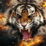 Roaring tiger abstract
