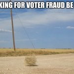 Tumbleweed | LOOKING FOR VOTER FRAUD BE LIKE | image tagged in tumbleweed | made w/ Imgflip meme maker