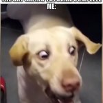 DOG SCARED | WHEN 2020 ENDS AND YOU HEAR A VOICE FROM THE SKY SAYING TUTORIAL COMPLETE
ME: | image tagged in dog scared | made w/ Imgflip meme maker