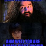 yer a hairy giant hagrid | YER A WIZARD,HARRY; AHM WELL YOU ARE A HAIRY GIANT HAGRID | image tagged in you are wizzard harry | made w/ Imgflip meme maker