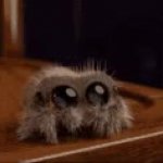 Dancing spider GIF Template
