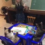 little girl teaching cats