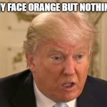 Trump Stupid Face | WHY IS MY FACE ORANGE BUT NOTHING ELSE IS; Y IS CHEZ NOM | image tagged in trump stupid face | made w/ Imgflip meme maker