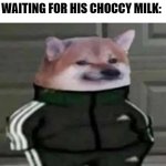 want some choccy milk? | MY LITTLE BROTHER WAITING FOR HIS CHOCCY MILK: | image tagged in cheems with adidas,choccy milk | made w/ Imgflip meme maker