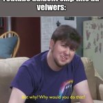 but why | Youtube ad:dont skip this ad 
veiwers: | image tagged in but why | made w/ Imgflip meme maker