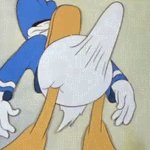 Donald Duck Boner meme