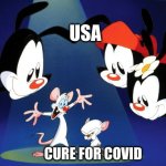 Pinky and the Brain Animaniacs | USA; CURE FOR COVID | image tagged in pinky and the brain animaniacs | made w/ Imgflip meme maker