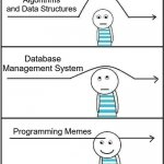 Programming meme | Algorithms and Data Structures; Database Management System; Programming Memes | image tagged in arrow through head,programming meme,arrow above head | made w/ Imgflip meme maker