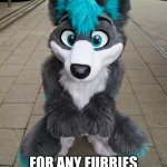 hewwo | HEWWO EVERYONE; FOR ANY FURRIES OUT THERE I WILL BE MAKING A FURRY STREAM | image tagged in furry | made w/ Imgflip meme maker