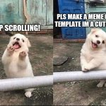 The puppy is reminding you | PLS MAKE A MEME OF THIS TEMPLATE IM A CUTE PUPPY; HEY STOP SCROLLING! | image tagged in hey stop scrolling | made w/ Imgflip meme maker