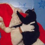 Cat attacks Santa meme