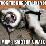 tee hee | ME: I TOOK THE DOG OUT LIKE YOU SAID; MOM: I SAID FOR A WALK | image tagged in dead dog | made w/ Imgflip meme maker