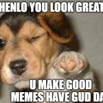doggos never lie | HENLO YOU LOOK GREAT; U MAKE GOOD MEMES HAVE GUD DAY | image tagged in winking dog,wholesome,love wins,good memes | made w/ Imgflip meme maker