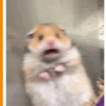 Ah! Hamster