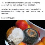 Rotten fruit meme