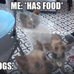 My dogs come running everytime I have food | ME: *HAS FOOD*; MY DOGS: | image tagged in funny dogs | made w/ Imgflip meme maker