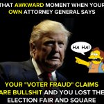 Voter fraud fraud