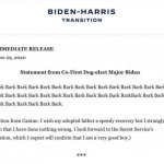 Biden-Harris transition dog meme