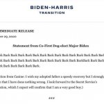 Biden-Harris transition dog